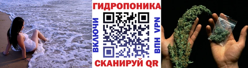 Где можно купить наркотики Касимов КОКАИН  Альфа ПВП  Героин  Гашиш 