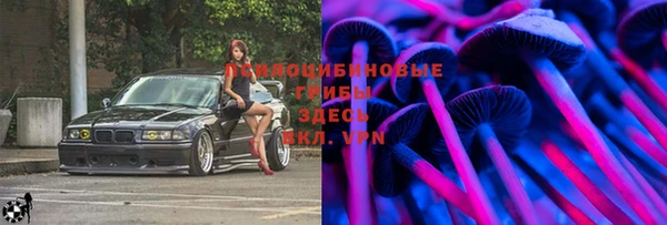 соль ск Волосово