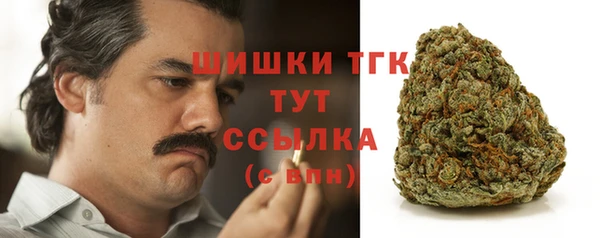 молекула духа Володарск