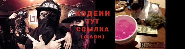 соль ск Волосово
