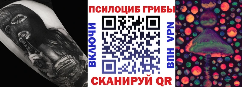 blacksprut ONION  Касимов  Псилоцибиновые грибы прущие грибы 